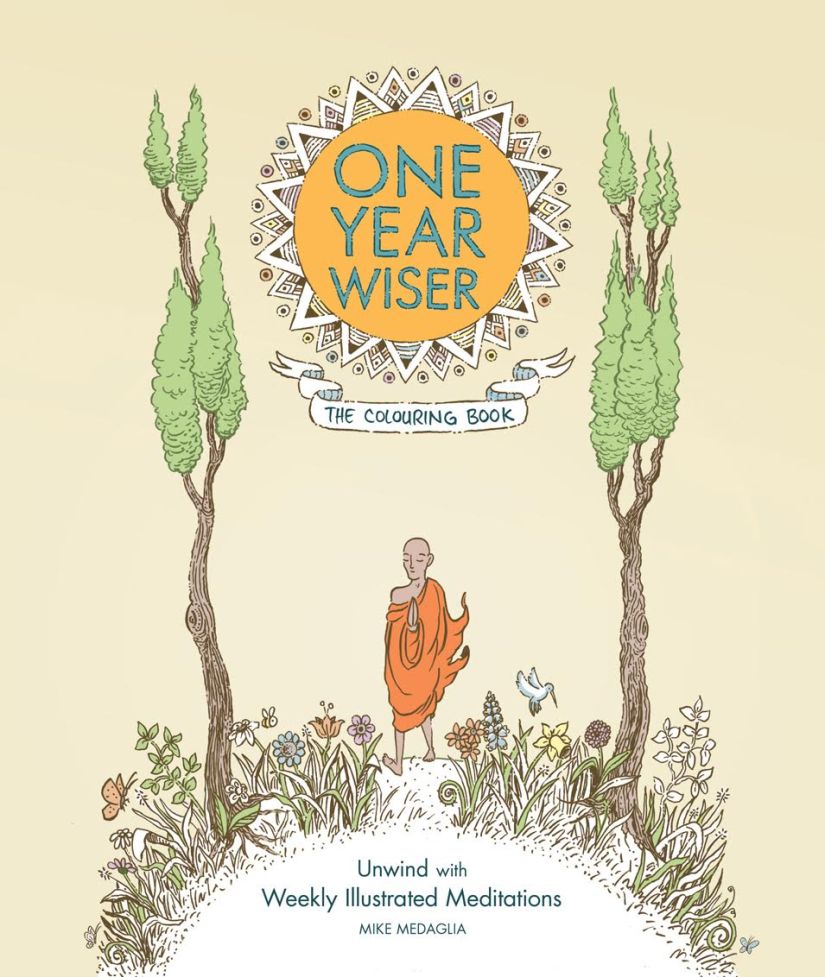 One Year Wiser cover