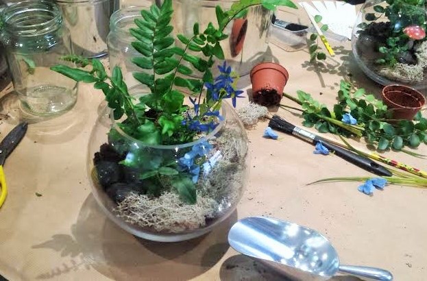 terrarium making